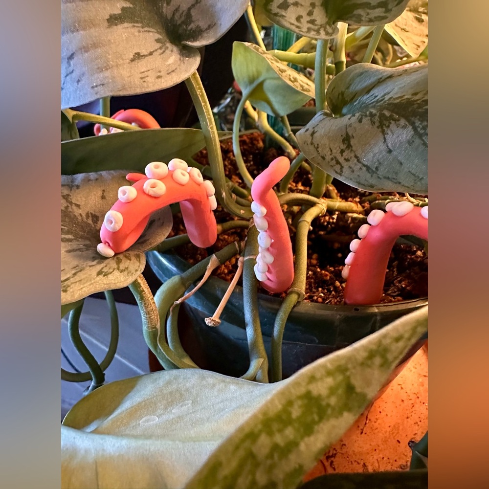 Sea Creature Tentacles Plants Decor Plant Friend Fall, Halloween, Spring Octopus